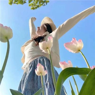 权力的堡垒 第一季